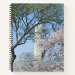 Cherry Blossoms and the Washington Monument in DC Notebook