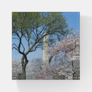 Cherry Blossoms and the Washington Monument in DC Paperweight