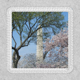 Cherry Blossoms and the Washington Monument in DC Patch