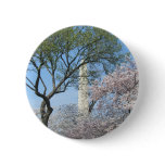 Cherry Blossoms and the Washington Monument in DC Pinback Button