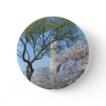 Cherry Blossoms and the Washington Monument in DC Pinback Button
