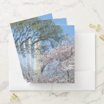 Cherry Blossoms and the Washington Monument in DC Pocket Folder