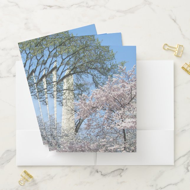 Cherry Blossoms and the Washington Monument in DC Pocket Folder (In Situ)