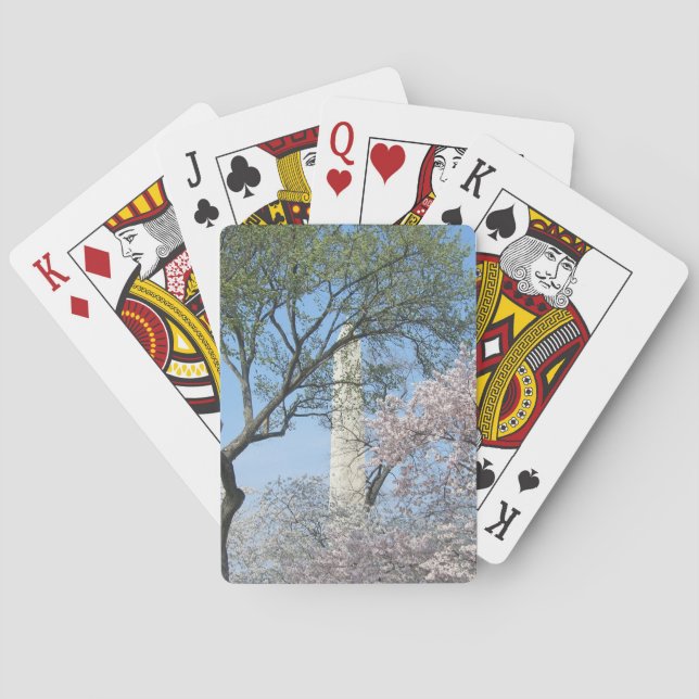 Cherry Blossoms and the Washington Monument in DC Poker Cards (Back)