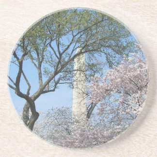 Cherry Blossoms and the Washington Monument in DC Sandstone Coaster