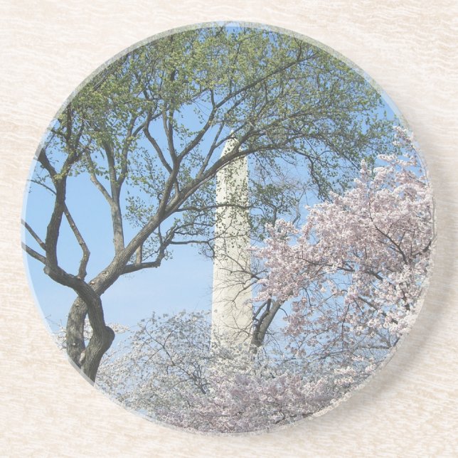 Cherry Blossoms and the Washington Monument in DC Sandstone Coaster (Front)