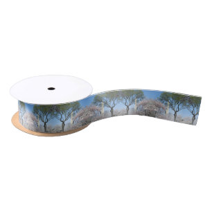 Cherry Blossoms and the Washington Monument in DC Satin Ribbon