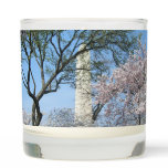 Cherry Blossoms and the Washington Monument in DC Scented Candle