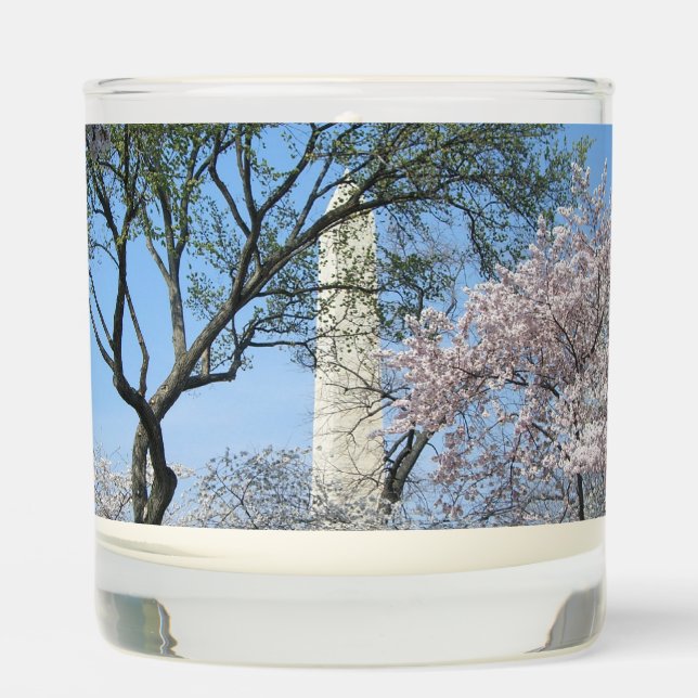 Cherry Blossoms and the Washington Monument in DC Scented Candle (Front)