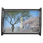 Cherry Blossoms and the Washington Monument in DC Serving Tray