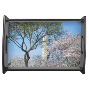 Cherry Blossoms and the Washington Monument in DC Serving Tray