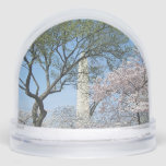 Cherry Blossoms and the Washington Monument in DC Snow Globe