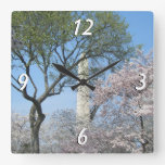 Cherry Blossoms and the Washington Monument in DC Square Wall Clock