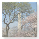 Cherry Blossoms and the Washington Monument in DC Stone Coaster