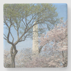 Cherry Blossoms and the Washington Monument in DC Stone Coaster