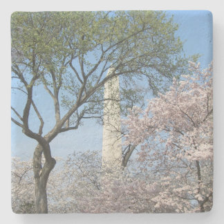 Cherry Blossoms and the Washington Monument in DC Stone Coaster
