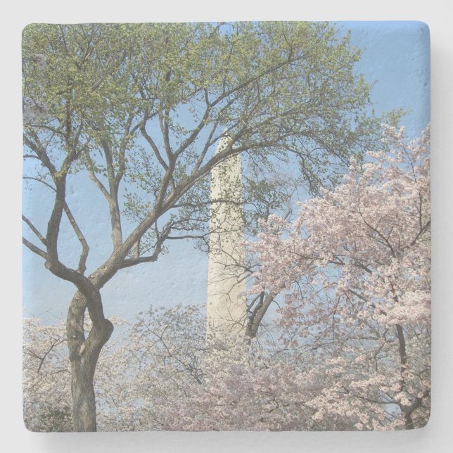 Cherry Blossoms and the Washington Monument in DC Stone Coaster (Front)