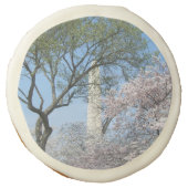 Cherry Blossoms and the Washington Monument in DC Sugar Cookie (Front)