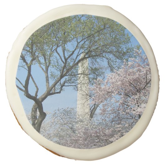 Cherry Blossoms and the Washington Monument in DC Sugar Cookie (Front)