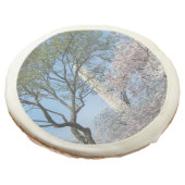 Cherry Blossoms and the Washington Monument in DC Sugar Cookie (Angled)