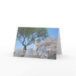 Cherry Blossoms and the Washington Monument in DC Thank You Card