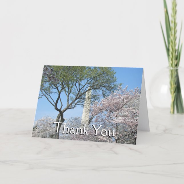 Cherry Blossoms and the Washington Monument in DC Thank You Card (Front)