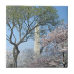 Cherry Blossoms and the Washington Monument in DC Tile