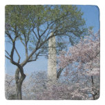 Cherry Blossoms and the Washington Monument in DC Trivet