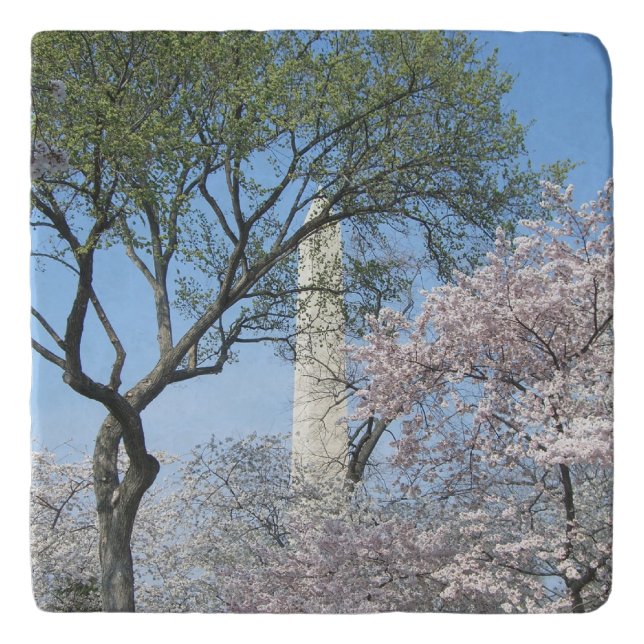 Cherry Blossoms and the Washington Monument in DC Trivet (Front)