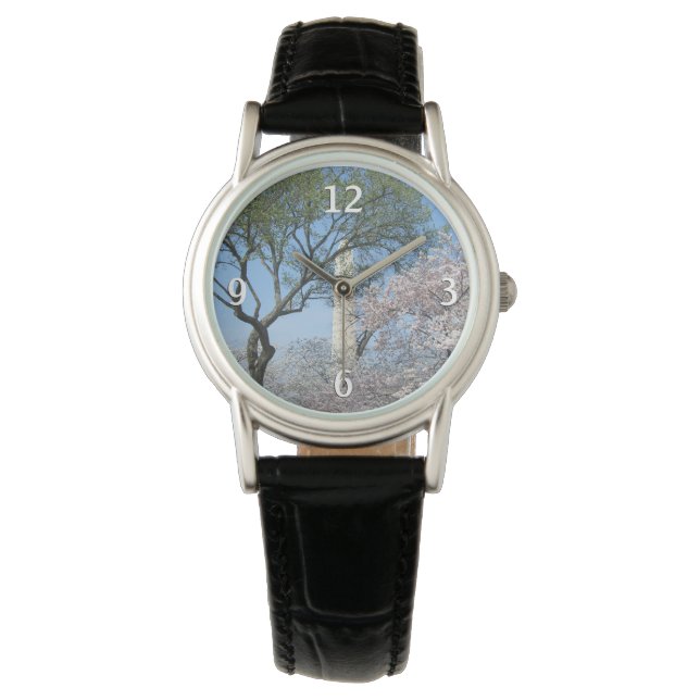 Cherry Blossoms and the Washington Monument in DC Watch (Front)