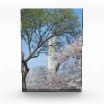 Cherry Blossoms and the Washington Monument Photo Block