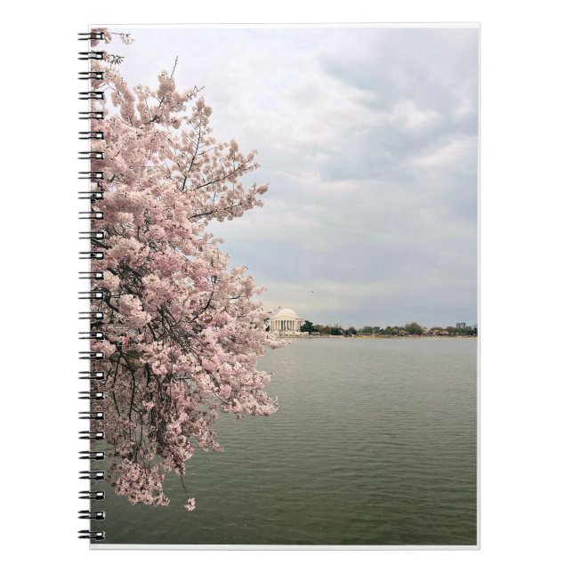 Cherry Blossoms at the Tidal Basin Notebook (Front)