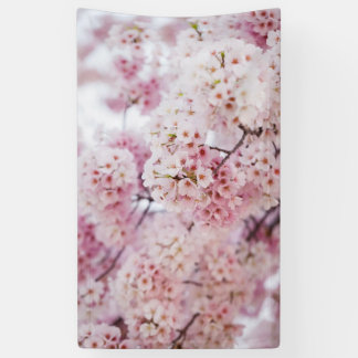 Cherry Blossoms Banner