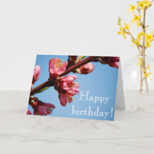 Cherry Blossoms Birthday Blessings Card