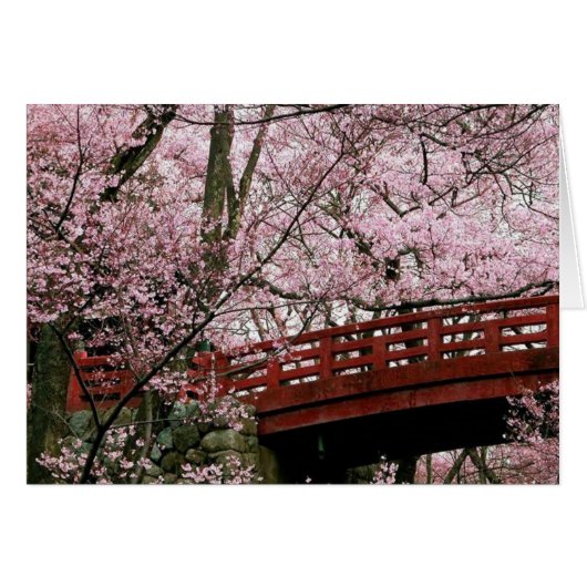 Cherry Blossoms (blank inside) Cards (Front Horizontal)