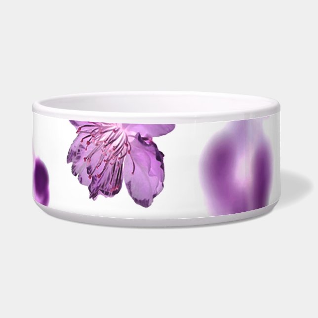Cherry blossoms bowl (Front)