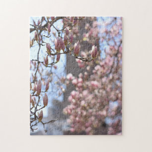 Cherry Blossoms Central Park New York City NYC Jigsaw Puzzle