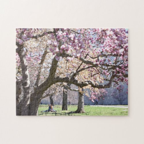 Cherry Blossoms Central Park New York City NYC Jigsaw Puzzle