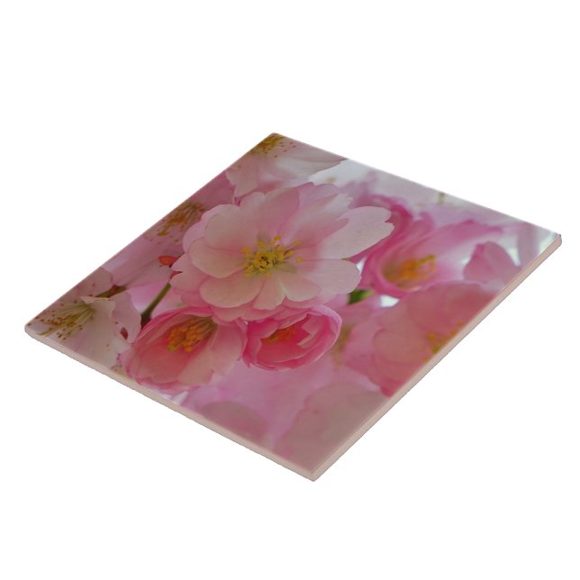 Cherry Blossoms Ceramic Tile (Side)
