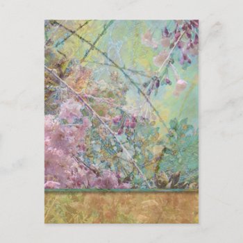 Cherry Blossoms Collage Postcard by profilesincolor at Zazzle