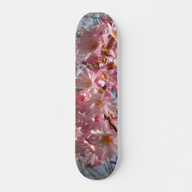 Cherry Blossoms Deck (Front)