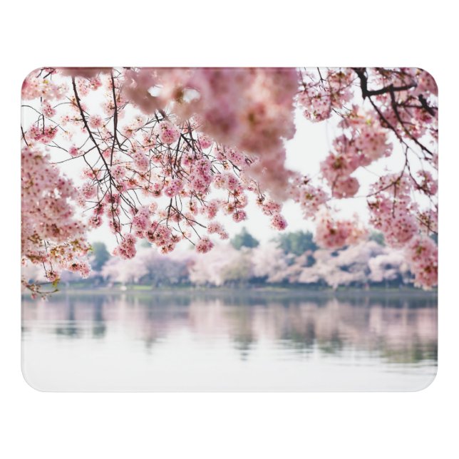 Cherry Blossoms Door Sign (Contemporary Front)