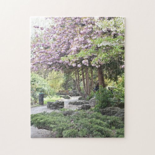 Cherry Blossoms Duncan Terrace Gardens London UK Jigsaw Puzzle