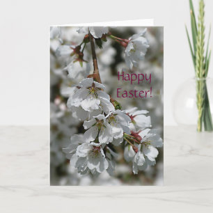Cherry Blossoms Easter Card