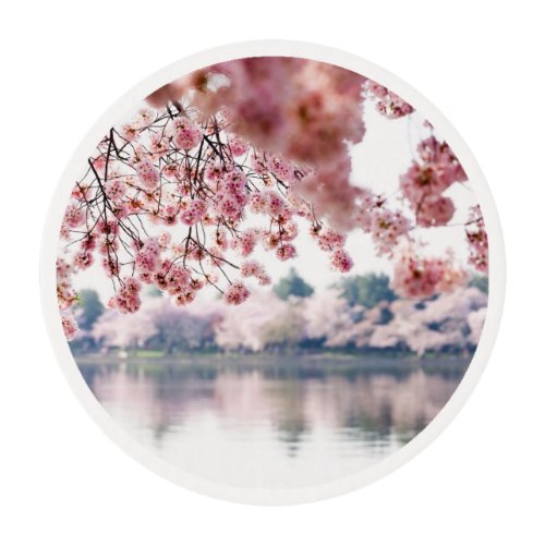 Cherry Blossoms Edible Frosting Rounds