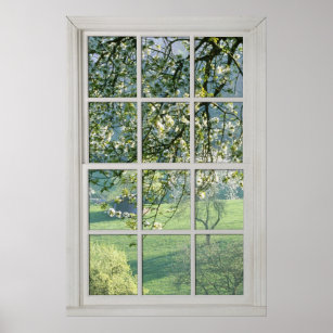 Cherry Blossoms - Fake White Window (1 0f 3) Poster
