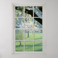 Cherry Blossoms - Fake White Window (2 0f 3)