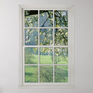 Cherry Blossoms - Fake White Window (3) Poster