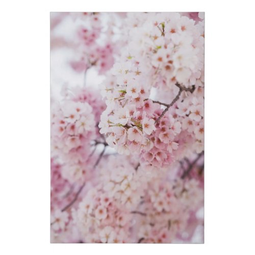 Cherry Blossoms Faux Canvas Print