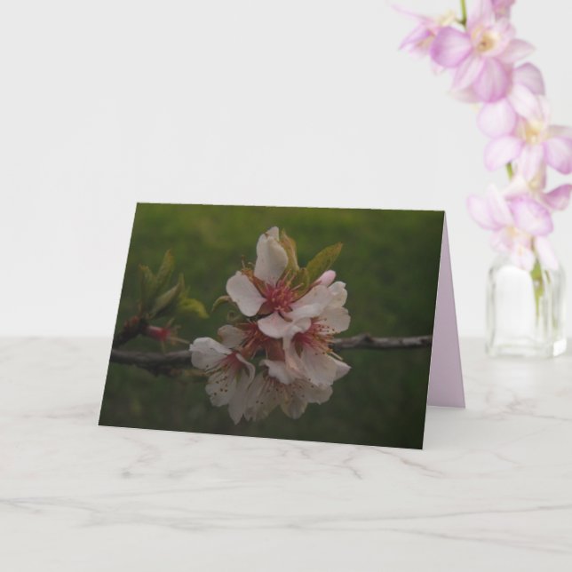 Cherry Blossoms Floral Blank Folded Greeting Card (Orchid)